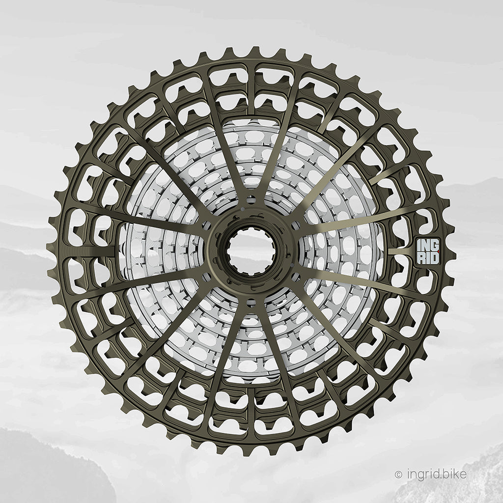 Cassette Ingrid 48T10 12S (SRAM XD) 10-48T