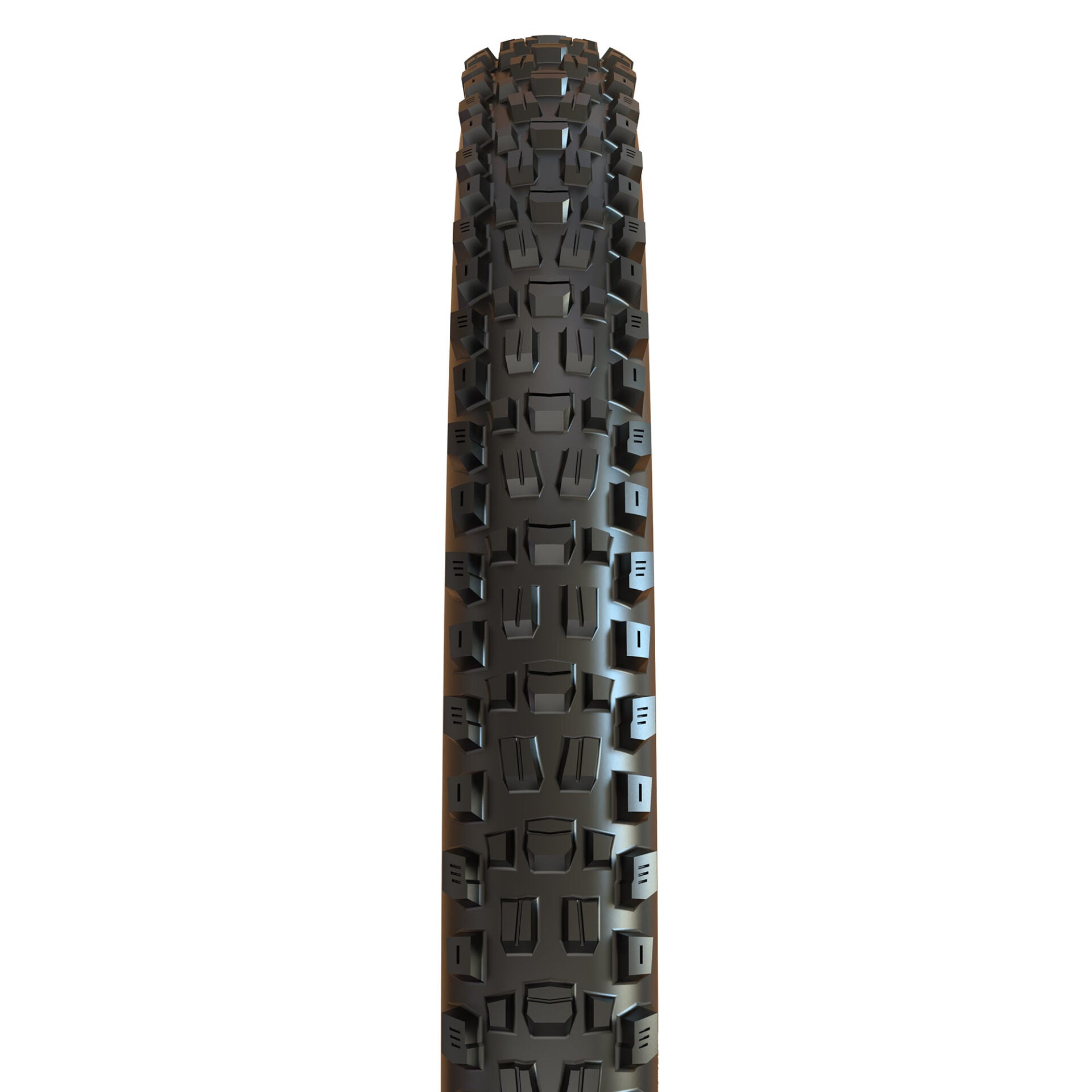 Llanta Maxxis Assegai – 29×2.60 / Plegable / Negro / 120×2 TPI / 3cg/Dd/TR