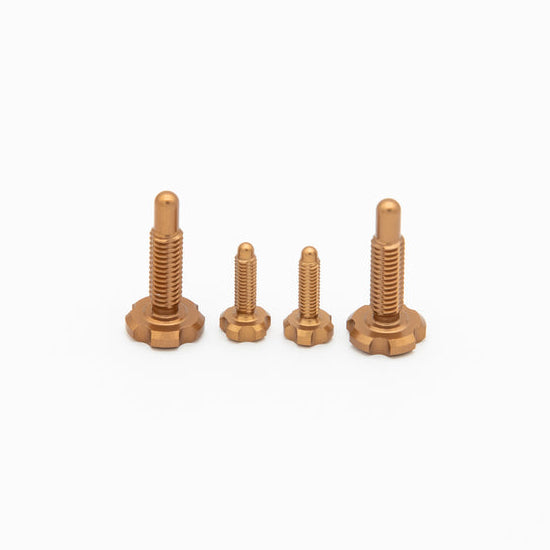 Kit de tornillos OAK para palancas RLP Magura