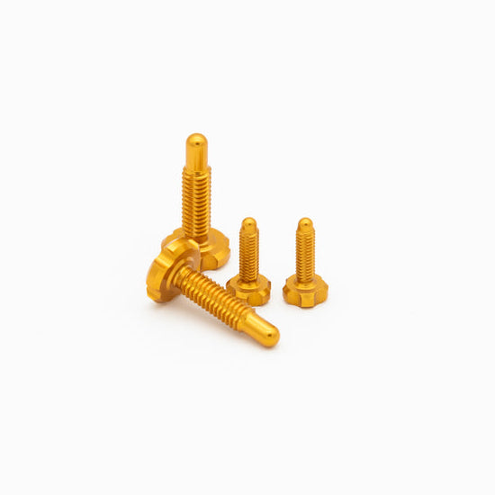 Kit de tornillos OAK para palancas RLP Magura