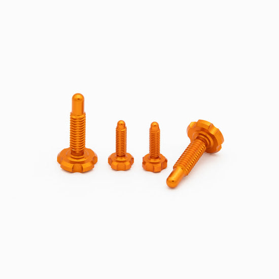 Kit de tornillos OAK para palancas RLP Magura