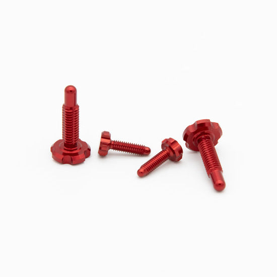Kit de tornillos OAK para palancas RLP Magura