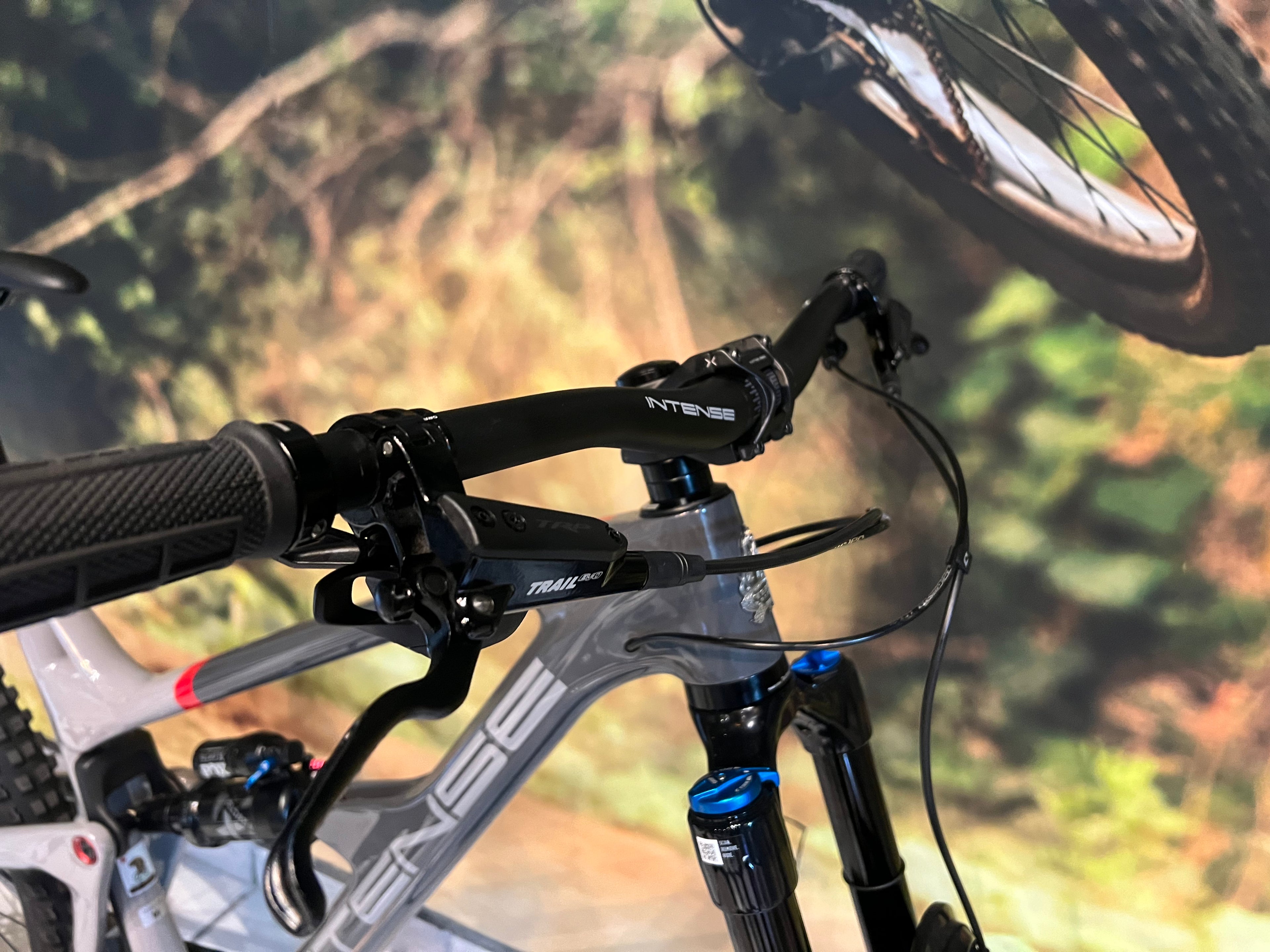 Bicicleta MTB Intense Primer 29 Grey EXPERT Talla M