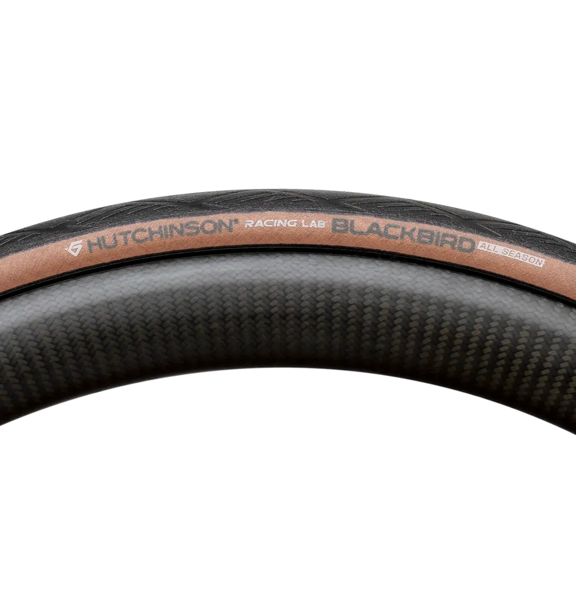 Llanta Blackbird All-Season Hutchinson 700x32 Tubeless Ready Café