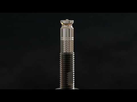 ADAPTADOR WOLFTOOTH PARA BOMBA SCHRADER PARA CLIK VALVULA
